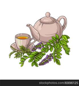 licorice herbal tea illustration on white background. licorice tea illustration