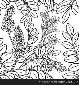licorice seamless pattern. licorice plant seamless pattern on white background