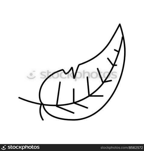 light feather soft fluffy line icon vector. light feather soft fluffy sign. isolated contour symbol black illustration. light feather soft fluffy line icon vector illustration