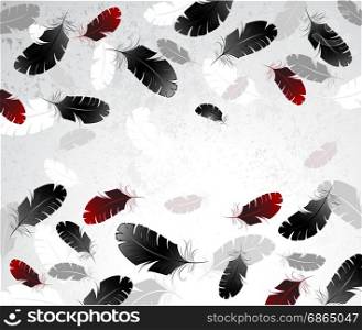 light gray, textured background feathers black and red
