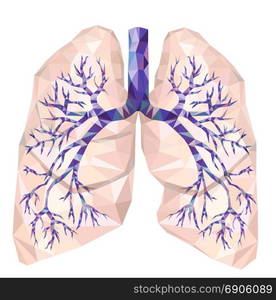 Realistic human lungs with trachea, bronchus, bronchi, carina, in low ...