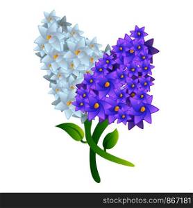 Lilac bouquet icon. Cartoon of lilac bouquet vector icon for web design isolated on white background. Lilac bouquet icon, cartoon style