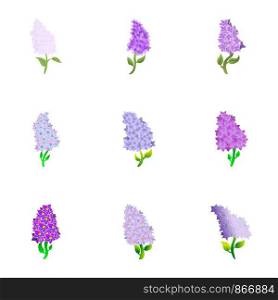 Lilac flower icon set. Cartoon set of 9 lilac flower vector icons for web design isolated on white background. Lilac flower icon set, cartoon style