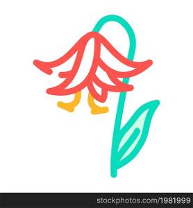 lilium natural flower color icon vector. lilium natural flower sign. isolated symbol illustration. lilium natural flower color icon vector illustration