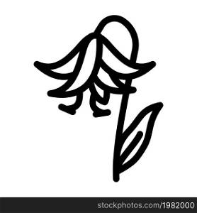 lilium natural flower line icon vector. lilium natural flower sign. isolated contour symbol black illustration. lilium natural flower line icon vector illustration