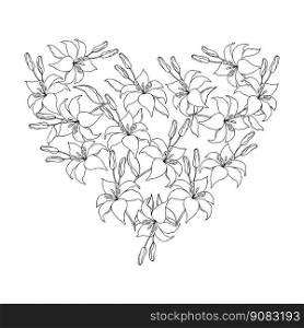 Lilly flower on white background vector. Elegant line art lily, flowers and leaves hand drawn. Cute blossom frame design for wedding, invitation. Lilly flower heart frame boarder for Valentines day or wedding invitation card
