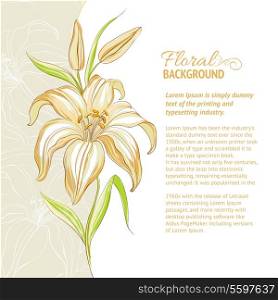 Lily flower background. Vector illustration