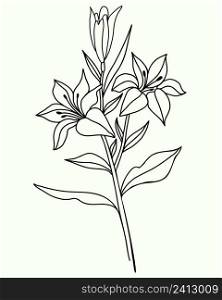 lily flower. Black outline of Branch with flowers and buds. Vector illustration. isolated on white background. Ornamental plant for design, decor, decoration and printing