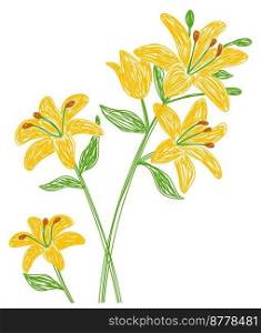 Lily flower. Hand drawn floral vector illustration. Pen or marker sketch. Hand drawn design print. Natural pencil drawing.