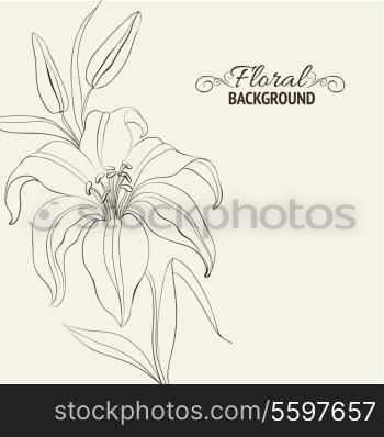 Lily flower isolated over white. Vector illustration