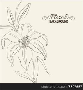 Lily flower isolated over white. Vector illustration