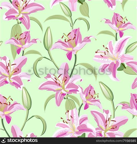 Lily flower seamless pattern on green background, Pink lily floral vector illustration