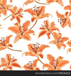 Lily flower seamless pattern on white background, Orange lily floral vector illustration