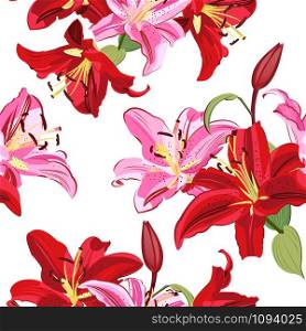 Lily flower seamless pattern on white background, Pink and Red lily floral vector illustration