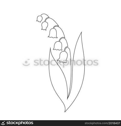 Lily of the valey flower on white background.