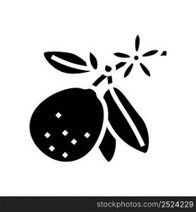 lime blossom glyph icon vector. lime blossom sign. isolated contour symbol black illustration. lime blossom glyph icon vector illustration