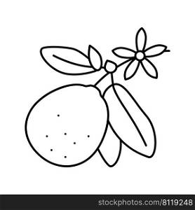 lime blossom line icon vector. lime blossom sign. isolated contour symbol black illustration. lime blossom line icon vector illustration