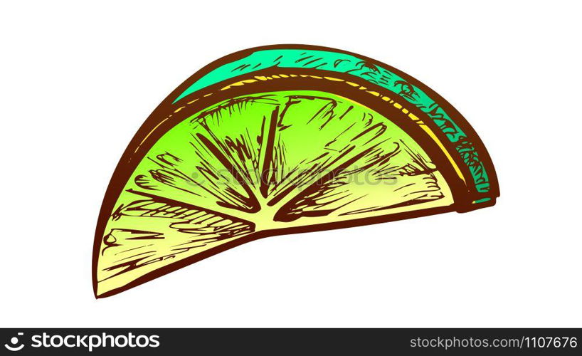 Lime Exotic Citrus Cut Slice Color Vector. Natural Juicy Sour Lime. Fresh Ripe Tropical Lemon Engraving Concept Template Hand Drawn In Vintage Style Illustration. Lime Exotic Citrus Cut Slice Color Vector