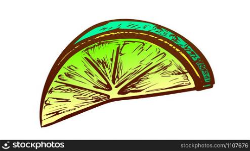 Lime Exotic Citrus Cut Slice Color Vector. Natural Juicy Sour Lime. Fresh Ripe Tropical Lemon Engraving Concept Template Hand Drawn In Vintage Style Illustration. Lime Exotic Citrus Cut Slice Color Vector
