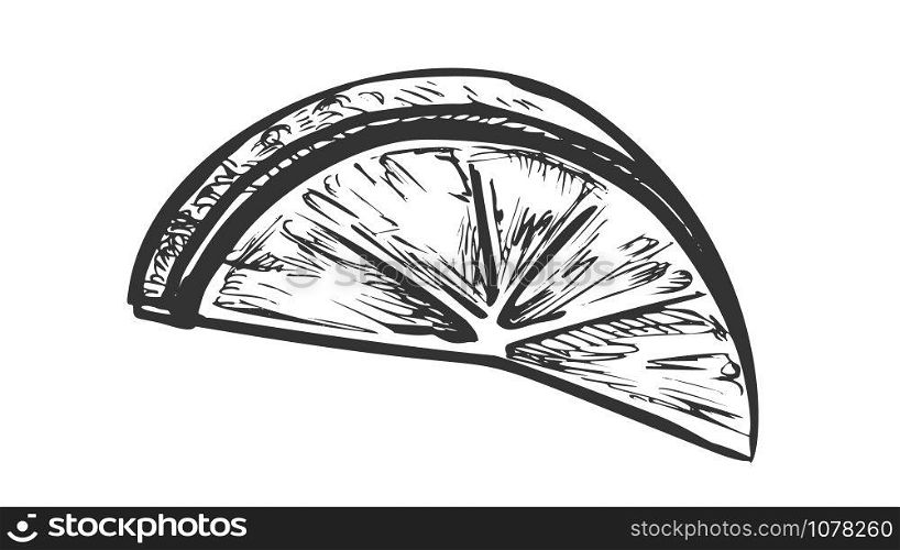 Lime Exotic Citrus Cut Slice Monochrome Vector. Natural Juicy Sour Lime. Fresh Ripe Tropical Lemon Engraving Concept Template Hand Drawn In Vintage Style Black And White Illustration. Lime Exotic Citrus Cut Slice Monochrome Vector