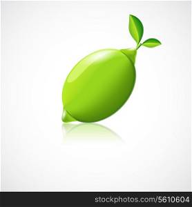 Lime fruit icon with reflection in glossy style vector illustration