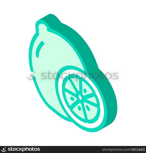 lime fruit isometric icon vector. lime fruit sign. isolated symbol illustration. lime fruit isometric icon vector illustration