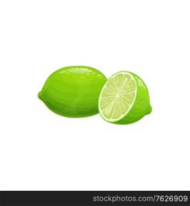 Lime fruit, tropical exotic citrus, vector isolated food icon. Lime fruits half cut and whole, tropic farm juicy exotic fruits harvest, dessert and essential oil ingredient. Lime fruit, tropical exotic citrus fruits food