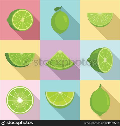 Lime icons set. Flat set of lime vector icons for web design. Lime icons set, flat style