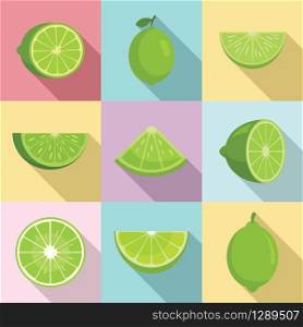 Lime icons set. Flat set of lime vector icons for web design. Lime icons set, flat style