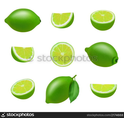 Lime. Realistic fresh sliced fruits with leaves decent vector limes collection. Illustration fruit lime, citrus food nutrition, ingredient design fresh. Lime. Realistic fresh sliced fruits with leaves decent vector limes collection