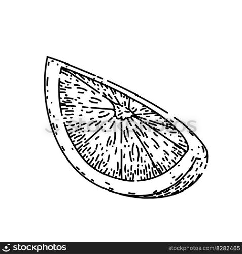 lime slice cut hand drawn. green fruit, citrus lemon, half juicy, wedge set, food vector lime slice cut vector sketch. isolated black illustration. lime slice cut sketch hand drawn vector
