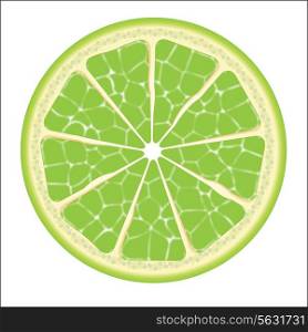 lime slice. Vector illustration. EPS 10 .