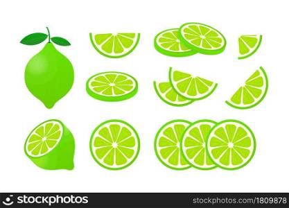 Lime with green leaves, slice citrus isolated on white background. Vector illustration. Lime with green leaves, slice citrus isolated on white background. Vector illustration.