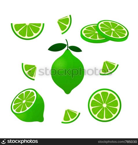 Lime with green leaves, slice citrus isolated on white background. Vector illustration.. Lime with green leaves, slice citrus isolated on white background. Vector stock illustration.
