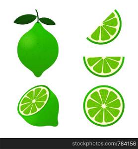 Lime with green leaves, slice citrus isolated on white background. Vector stock illustration.