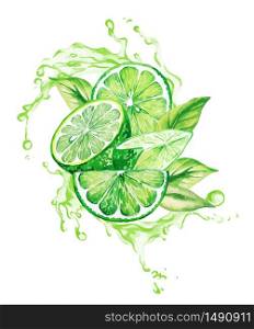 Limes and leaves in the splash of green juice, hand drawn vector watercolor illustration