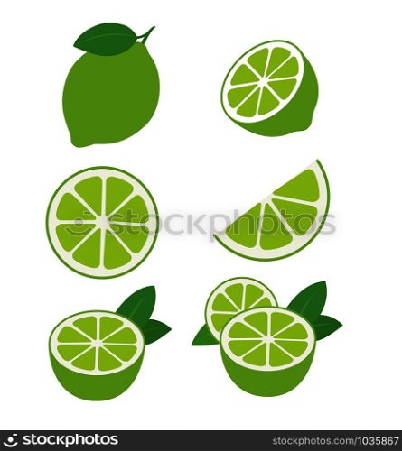 limes fruits collection of vector illustrations isolated on white eps 10. limes fruits collection of vector illustrations isolated on white