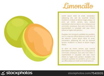 Limoncillo fruit whole and cut poster frame for text vector. Melicoccus bijugatus, Spanish lime, genip guinep, genipe and ginepa, quenepa, quenepe, chenet. Limoncillo Fruit Whole Cut, Spanish Lime Poster
