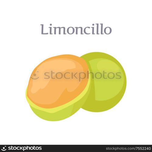 Limoncillo fruit whole and cut vector isolated on white. Melicoccus bijugatus, Spanish lime, genip guinep, genipe and ginepa, quenepa, quenepe, chenet. Limoncillo Fruit Whole Cut, Spanish Lime Isolated
