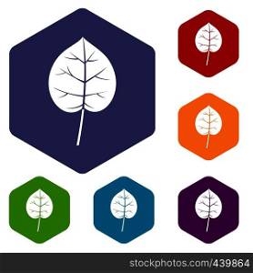 Linden leaf icons set hexagon isolated vector illustration. Linden leaf icons set hexagon