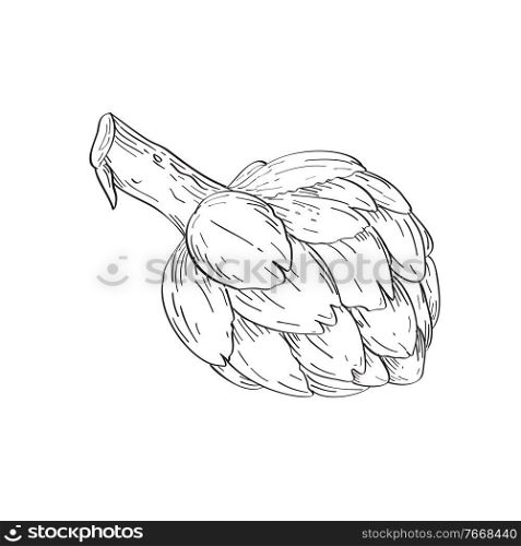 Line art drawing illustration of the globe artichoke , Cynara cardunculus var. scolymus, or French artichoke and green artichoke done in monoline tattoo style on white background in black and white.. Globe Artichoke or French Artichoke and Green Artichoke Line Art Drawing Black and White