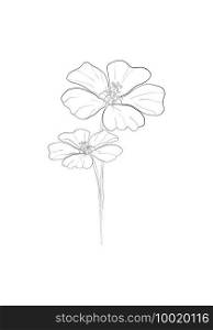 line art-Poppy flower Minimalist contour drawing. One line artwork,floral pattern for design linear art on a white background.