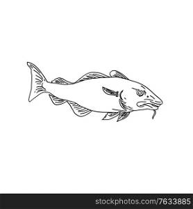 Line Art style illustration of an Atlantic cod Gadus morhua, a benthopelagic fish of the family Gadidae commercially known as cod or codling viewed from side on isolated background in black and white.. Atlantic Cod Gadus Morhua or Codling Side View Line Art Style Black and White