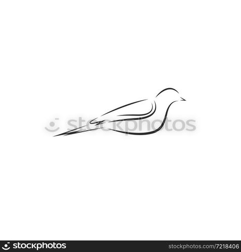 line bird icon vector illustration concept design template