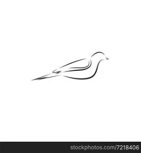 line bird icon vector illustration concept design template