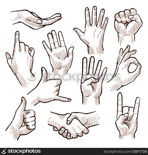 Line drawing doodle hands showing common signs vector collection. Gesture hand for communication, illustration of sketching hands. Line drawing doodle hands showing common signs vector collection