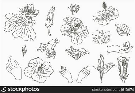 Line flower collection with hibiscus.Vector illustration for icon,sticker,printable and tattoo