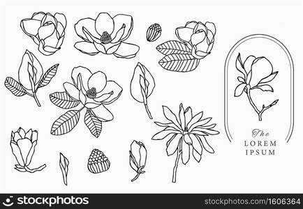 Line flower collection with magnolia.Vector illustration for icon,sticker,printable and tattoo