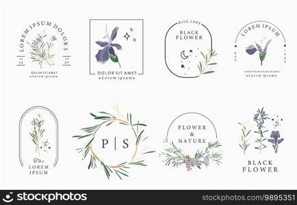 Line flower collection with rosemary.Vector illustration for icon,sticker,printable and tattoo