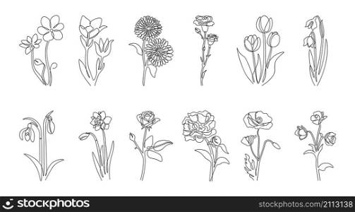Line flowers. Abstract continuous outline floral decorative graphic collection, minimalistic hand drawn plants with leaves and blossom. Vector botanical set illustrated arts beauty different flowers. Line flowers. Abstract continuous outline floral decorative graphic collection, minimalistic hand drawn plants with leaves and blossom. Vector botanical set